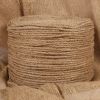 Rope 100% Jute 0.2" 19685"